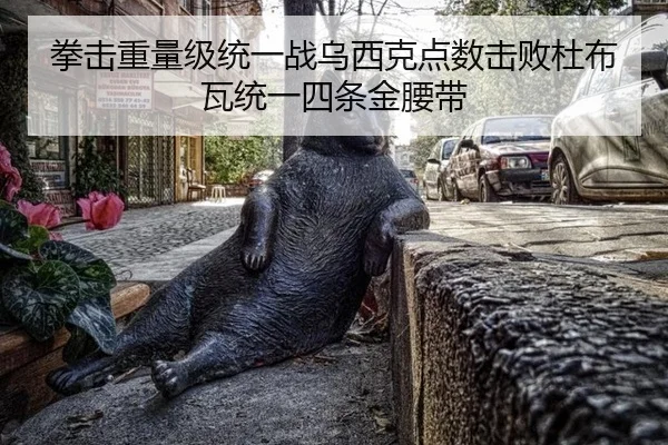 拳击重量级统一战乌西克点数击败杜布瓦统一四条金腰带